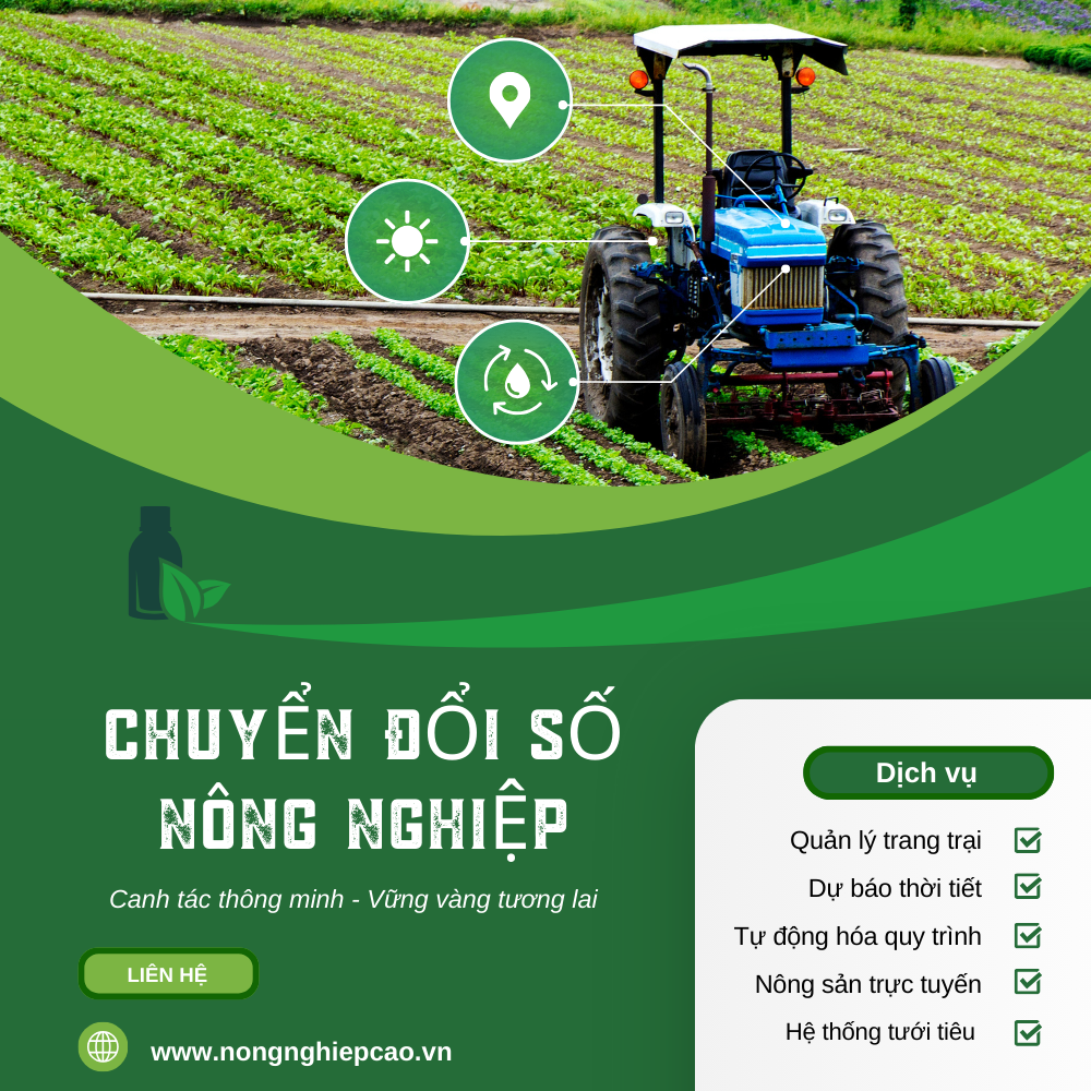 Quản Lý Nhà Nước Trong Nông Nghiệp Và Định Hướng Phát Triển Bền Vững